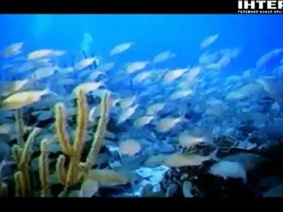 Авто парк 17 oct