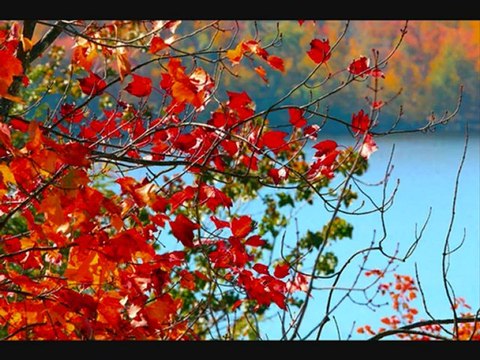 Richard Clayderman ( Vivre Ailleurs / Yamaha Psr 3000 )