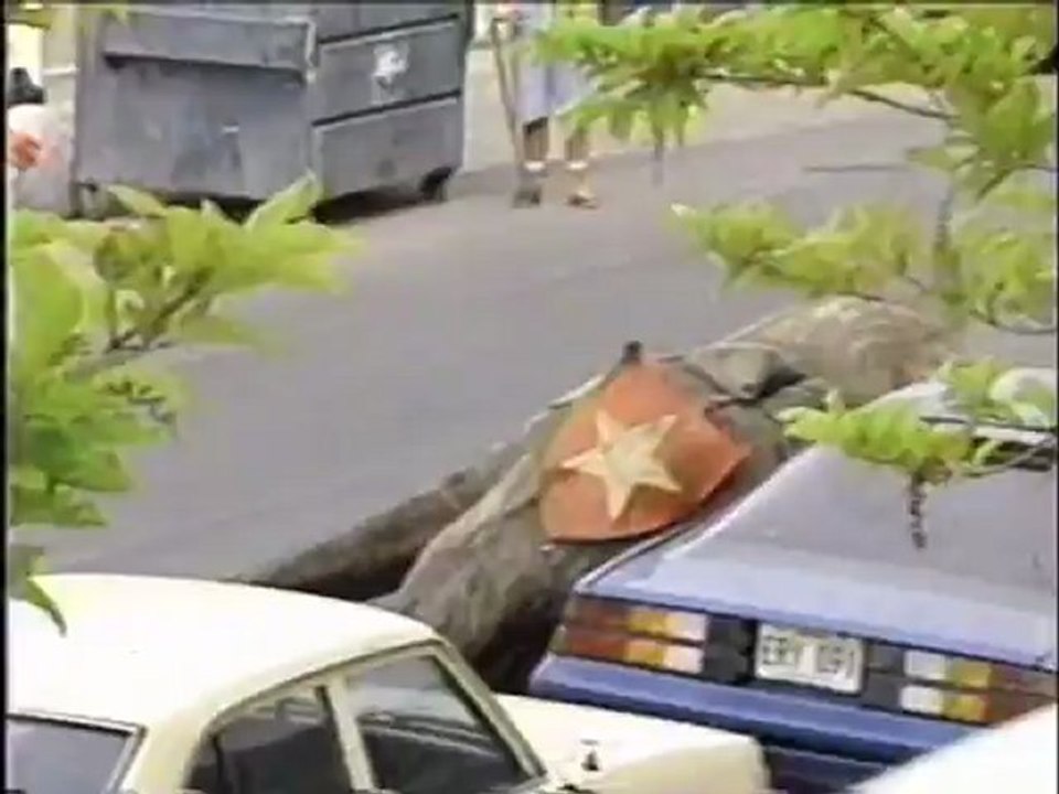 Earthlings - Teil 2 von 2