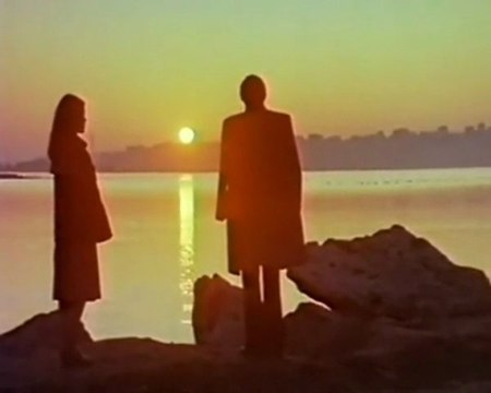 Müzeyyen senar - fikrimin ince gülü - kolaj serbülent öztürk