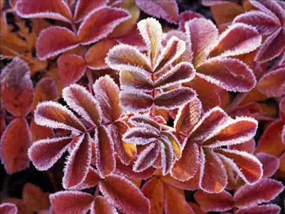 tr-Sondakika-seslikaradenizliyim.com-Buda-Benden-Olsun-www.seslikaradenizliyim.com