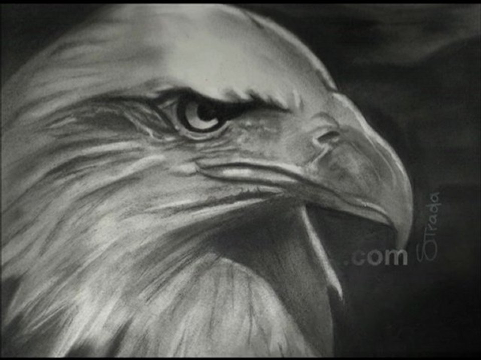 Retratos Dibujados y Pintados por  Ruben Strada