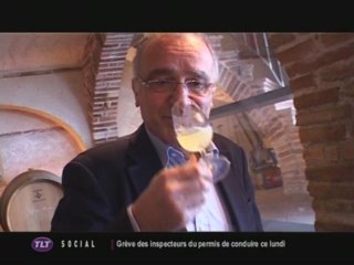 Ali Mahmoudi, vigneron œnologue (Labastide Saint Pierre)