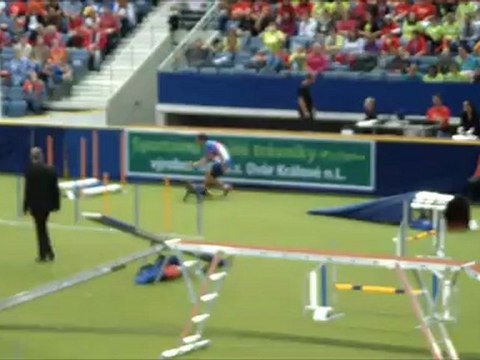 Caniche-Poodle WC Agility 2012