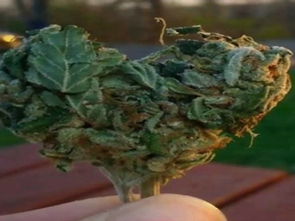 Smoke Weed And Ride To This Rap Instrumental