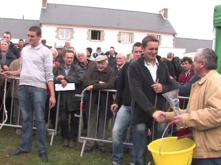 La Foire de Kerien, le concours de Poulains