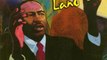 Biography Book Review: I've Seen the Promised Land: The Life of Dr. Martin Luther King, Jr. by Walter Dean Myers, Leonard Jenkins