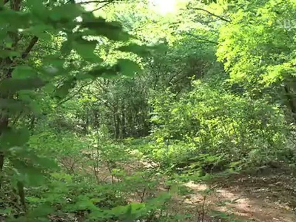 Grt.S.E02.AF_1