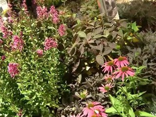 NewCa.com: 2012 Garden and Floral EXPO: Sheridan Nurseries - 100 years of Innovation in Canada