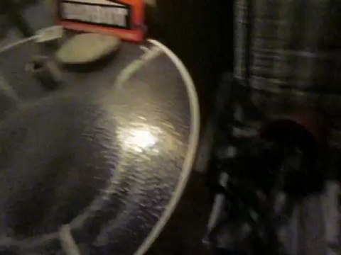 Jardiloose : Tempete à toulouse (midi pyrénées) destruction des plantes