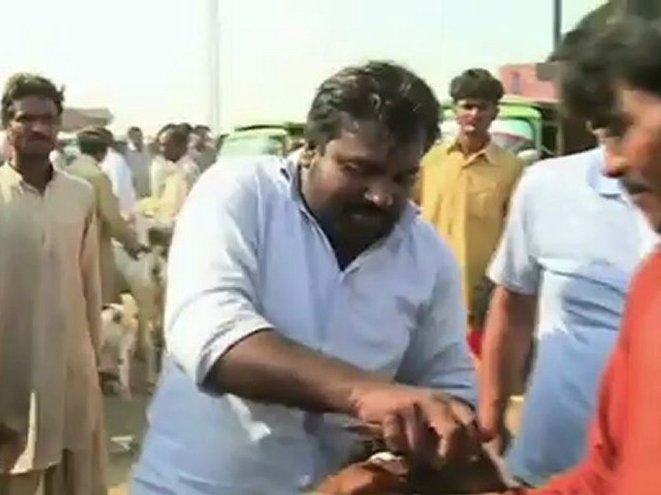 بکرے مہنگے، اجتماعی قربانی کا رجحان