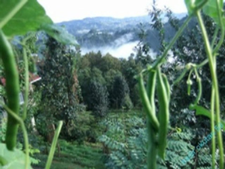 SENDE VUR YÜZ OLSUN