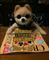 한게임바둑이♥♥♥♥KNN333.COM♥♥♥♥피망바두기