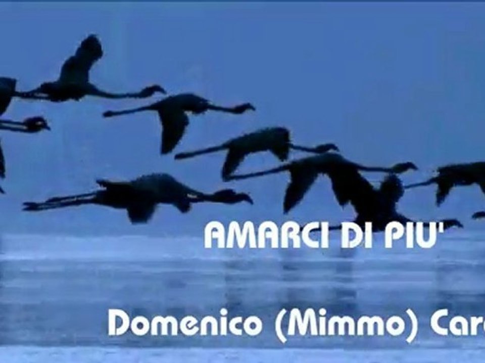 *** AMARCI DI PIU" ***