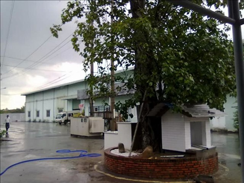cho thuê xưởng,dt 9.000m2 bình mỹ ,củ chi