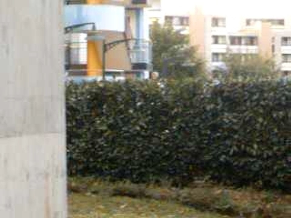 HPIM0544