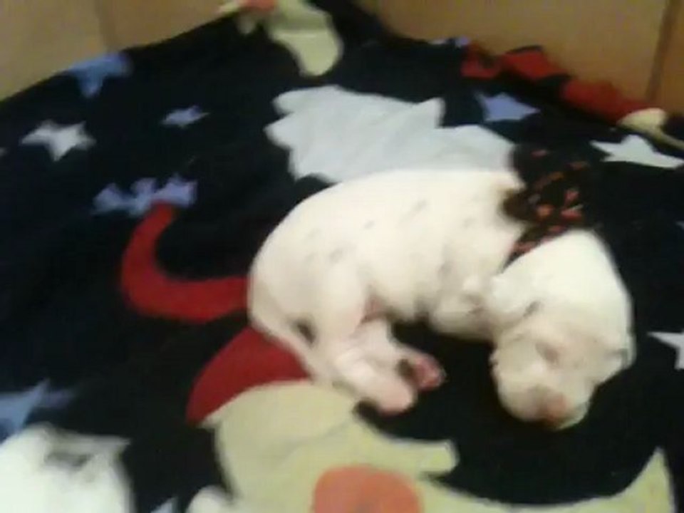 vidéo du 22-10-12