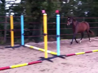 betiz d'adrdelay 20 oct 2012 (2)