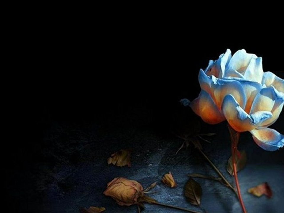 içime doğmuştu sanki