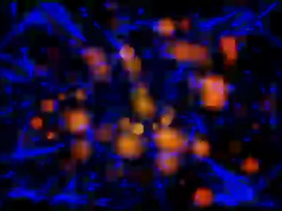 ragga banshee ya get me -- coldindread