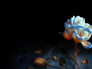 ben senin kulunmuyum