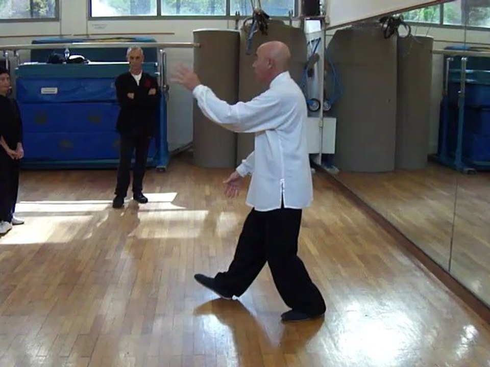 I SEGRETI DELLE ARTI MARZIALI INTERNE CINESI: DAGLI ESERCIZI DI BASE ALLE APPLICAZIONI MARZIALI. CORSI A ROMA DI TAIJI QUAN (TAI CHI CHUAN), NEI GONG,QI GONG, XIN YI CON IL MAESTRO FLAVIO DANIELE XLIX
