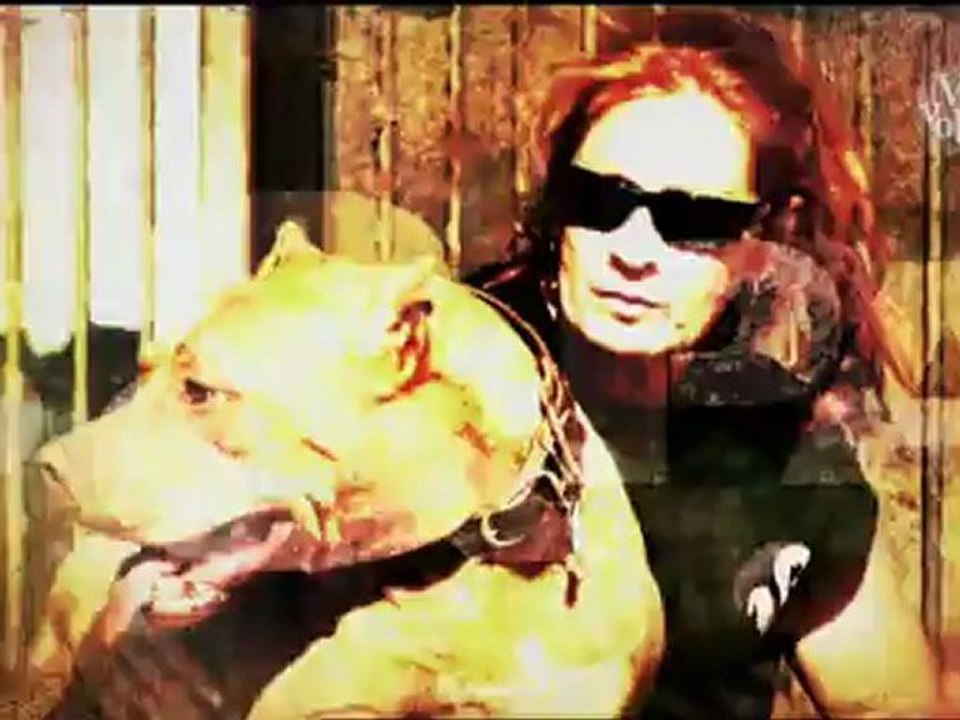 Pitbull & Prisonniers extrait 2