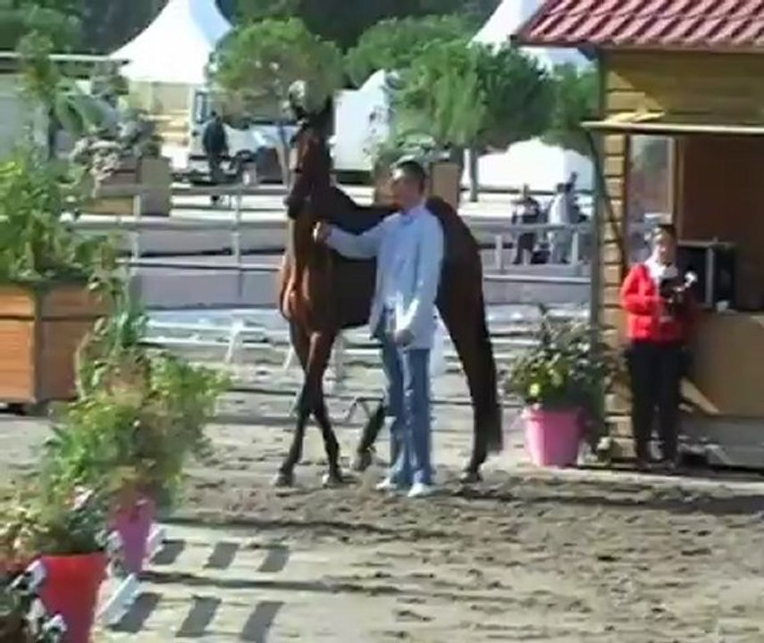 Royôme de Lancelot au Meeting des propriétaires 2012