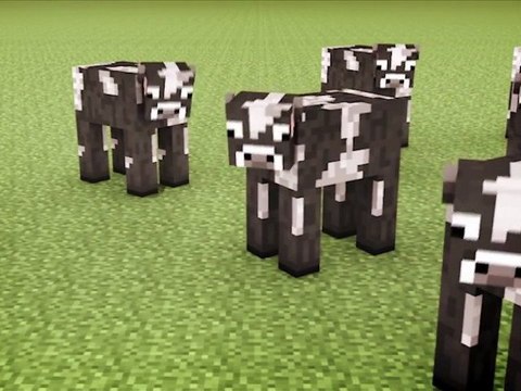 Minecraft Cows & Minecraft Cows & Minecraft Cows