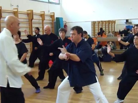 I SEGRETI DELLE ARTI MARZIALI INTERNE CINESI: DAGLI ESERCIZI DI BASE ALLE APPLICAZIONI MARZIALI. CORSI A ROMA DI TAIJI QUAN, NEI GONG,QI GONG, XIN YI CON IL MAESTRO FLAVIO DANIELE LIII