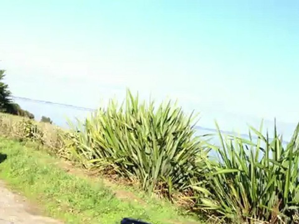 bubu en trike a castero