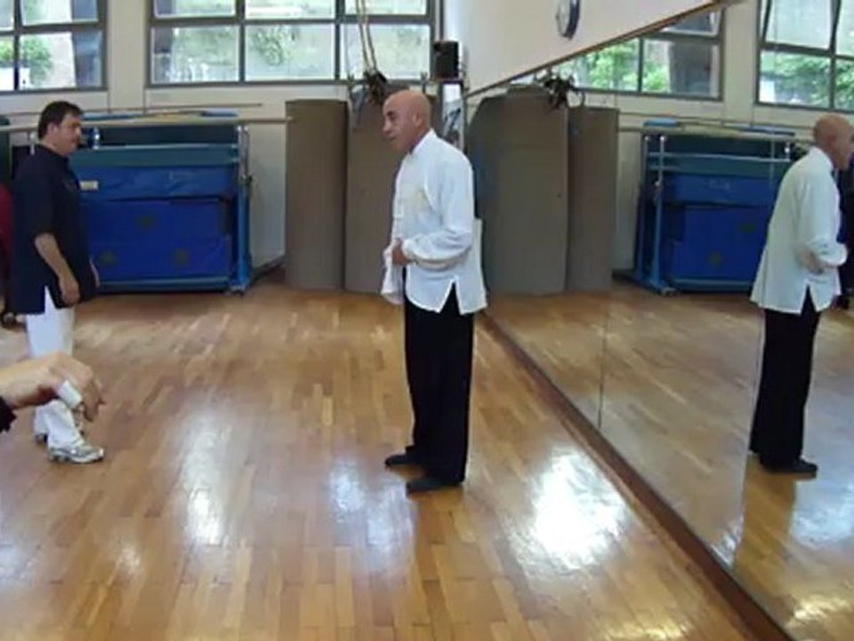 I SEGRETI DELLE ARTI MARZIALI INTERNE CINESI: DAGLI ESERCIZI DI BASE ALLE APPLICAZIONI MARZIALI. CORSI A ROMA DI TAIJI QUAN, NEI GONG,QI GONG, XIN YI CON IL MAESTRO FLAVIO DANIELE LX