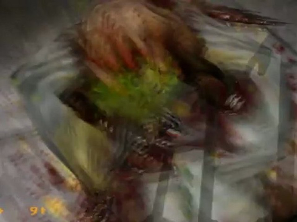 Black Mesa Source Walkthrough 5 : Secteur froid