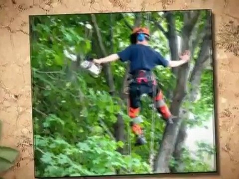 Wheeler Lawncare (219) 306-5220