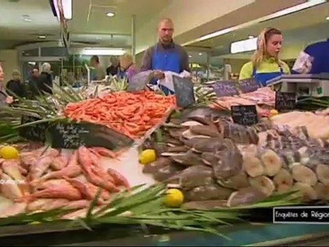 Enquêtes de Régions - Le magazine des rédactions France 3 du grand Sud-Ouest