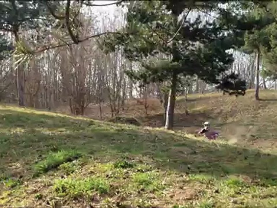 2012 FMX Pit Bike