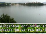 Ecologistas denuncian contaminación Ría del Eo, entre Galicia y Asturias