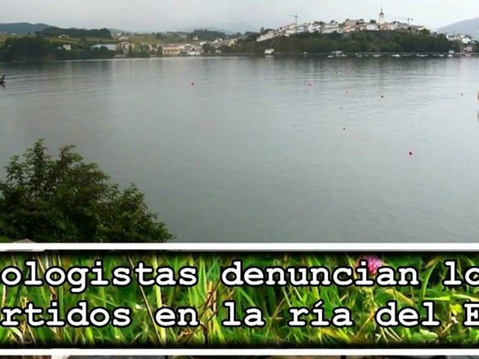 Ecologistas denuncian contaminación Ría del Eo, entre Galicia y Asturias