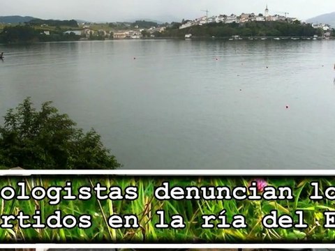 Ecologistas denuncian contaminación Ría del Eo, entre Galicia y Asturias