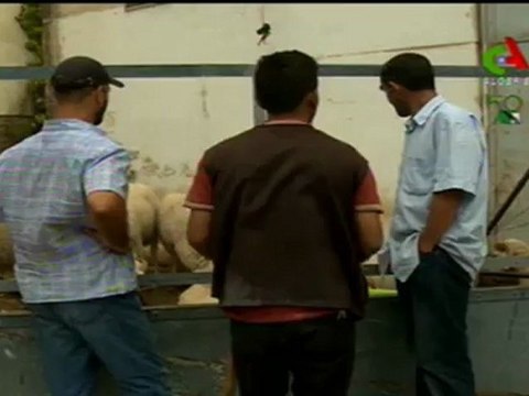 Eid al-Adha 2012 - Vente de Moutons