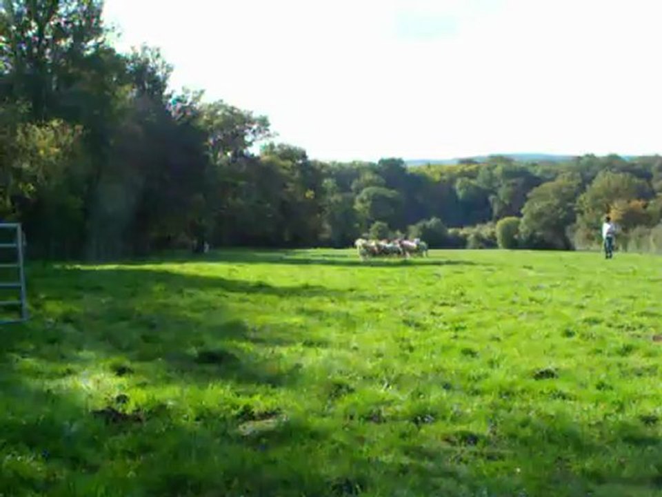 Bernard et Gamin 3 - 22/10/2012
