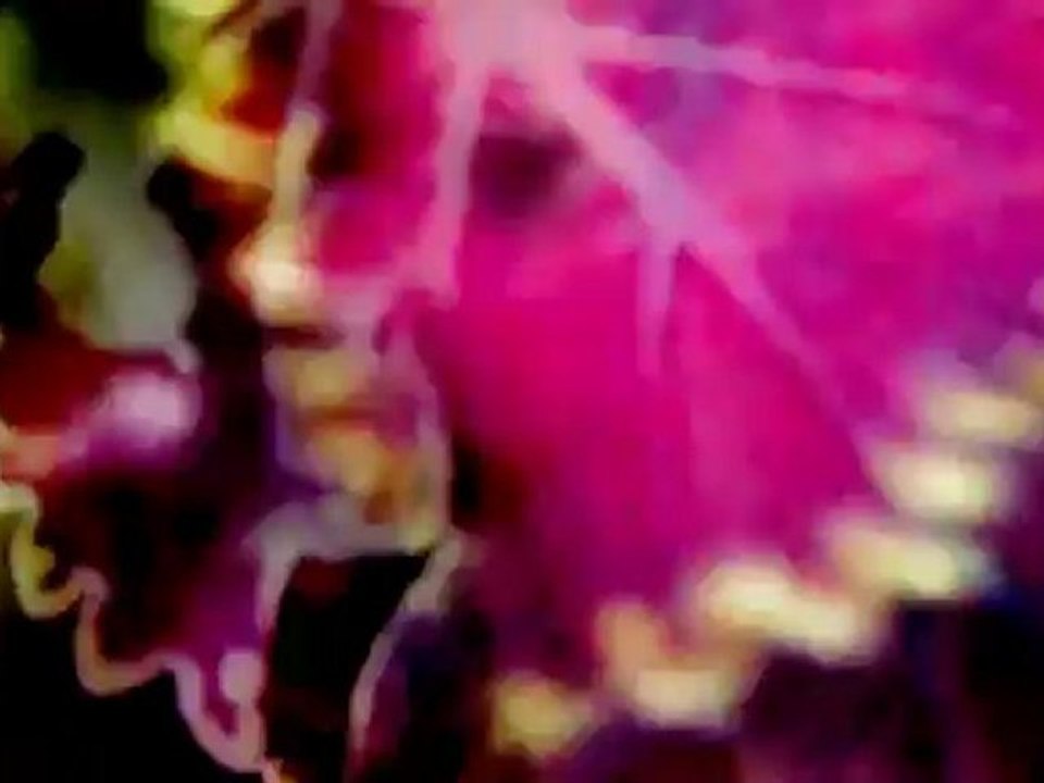 sendvicky1