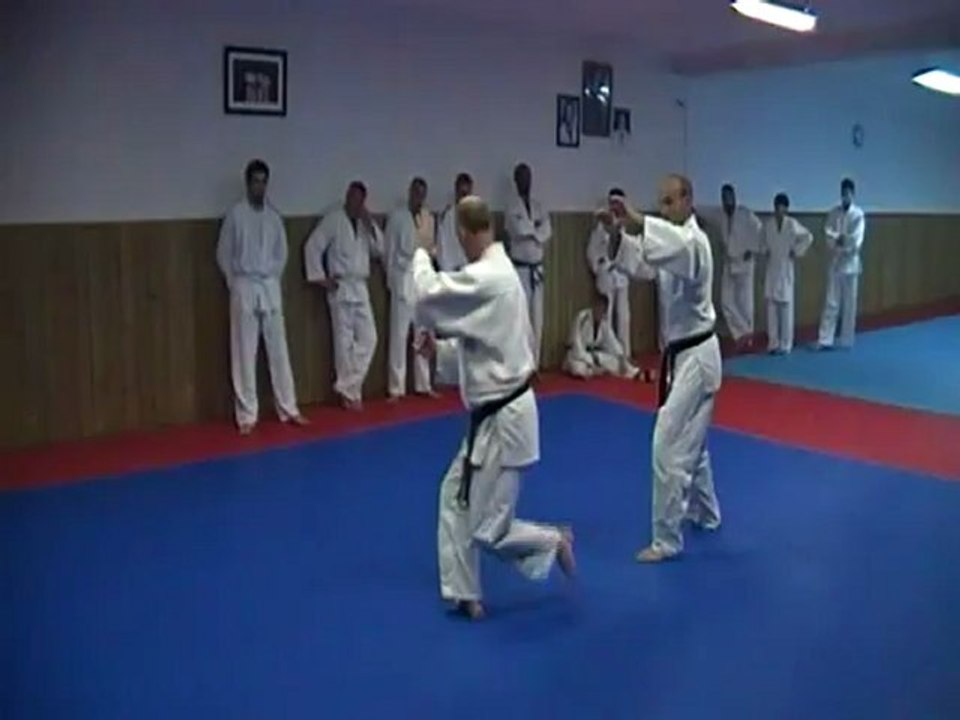 Jujitsu Rollin Philippe