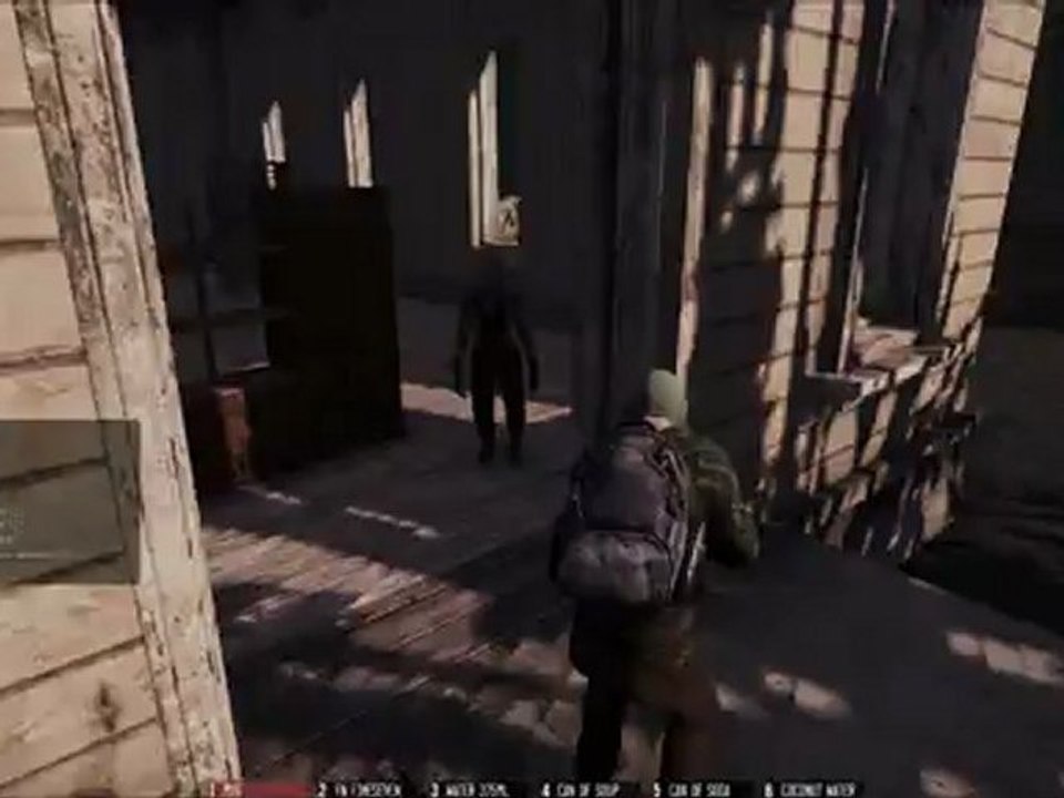 The WarZ gameplay