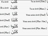 Comprendre l'Arabe - La Racine & Le Passé [Séance 2]