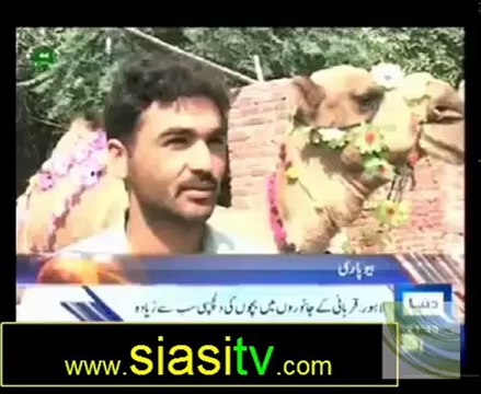 Daily News Bulletin on Dunya News 23rd October 2012