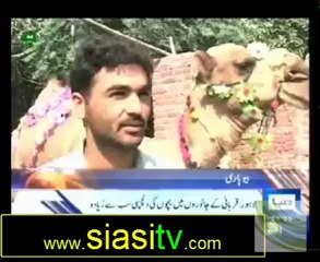 Daily News Bulletin on Dunya News 23rd October 2012