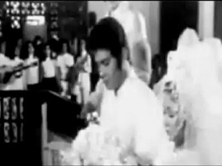 FPJ and Vi: Fair Use Notice 📄