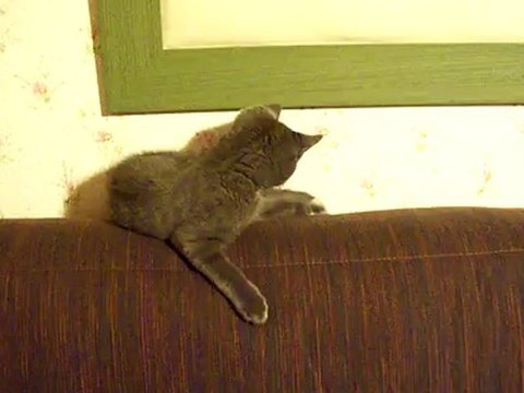 Grimo qui joue sur le dessus du clic-clac