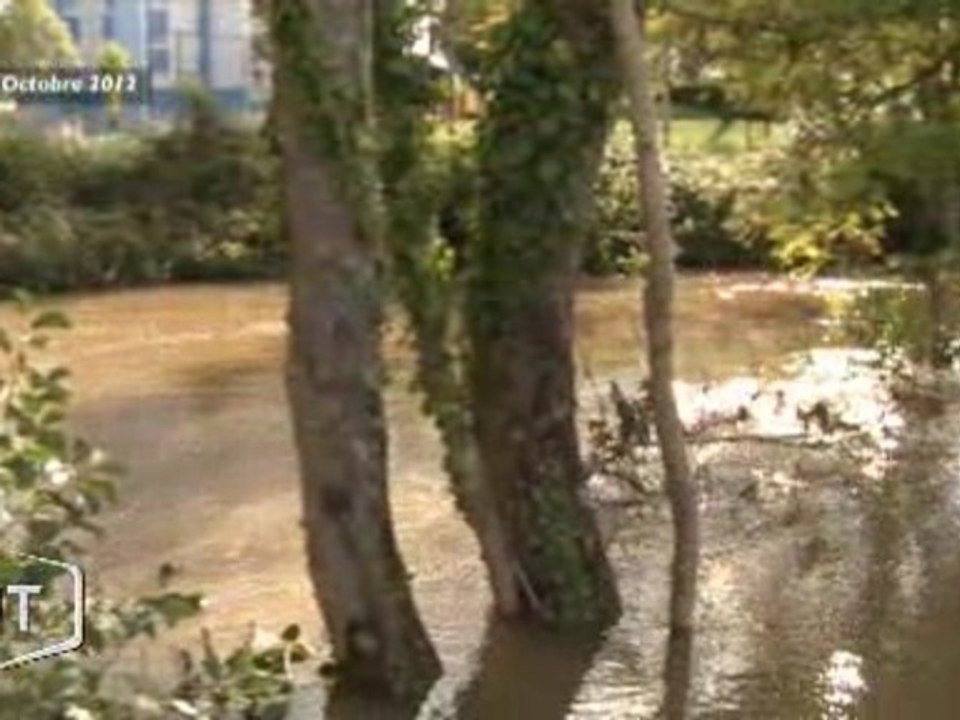 Montrée des eaux : Les potagés Yonnais dévastés (Vendée)